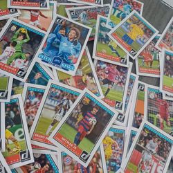 PANINI CARDS/SOCCER