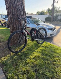 Trek 800 sport
