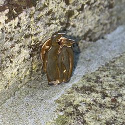 Miniature Gold Tone Penguin Brooch