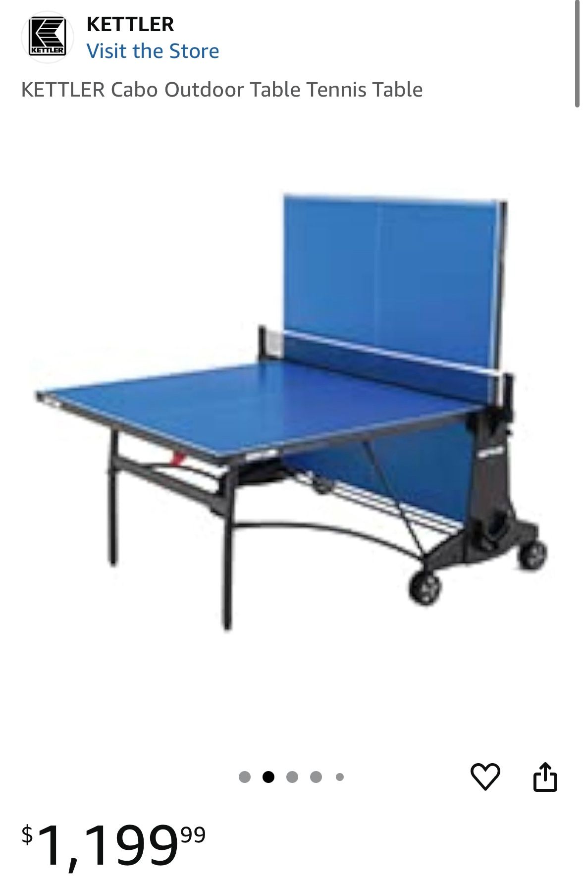 Ping Pong Table