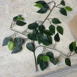 Greenery