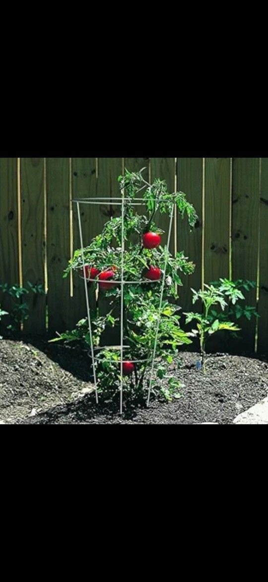 New $1.66, Evergreen Grow Cage19 in.