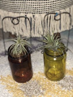 Glass lanterns, plant hangers or candle holders