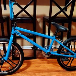 20" Custom Cruiser BMX Bike