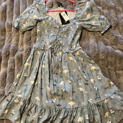Women’s Harry Potter Dobby Dress 