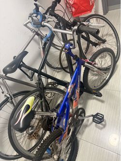 3 bikes