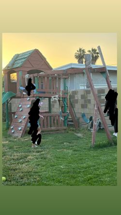 Jungle Gym