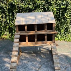 Chicken Nest 
