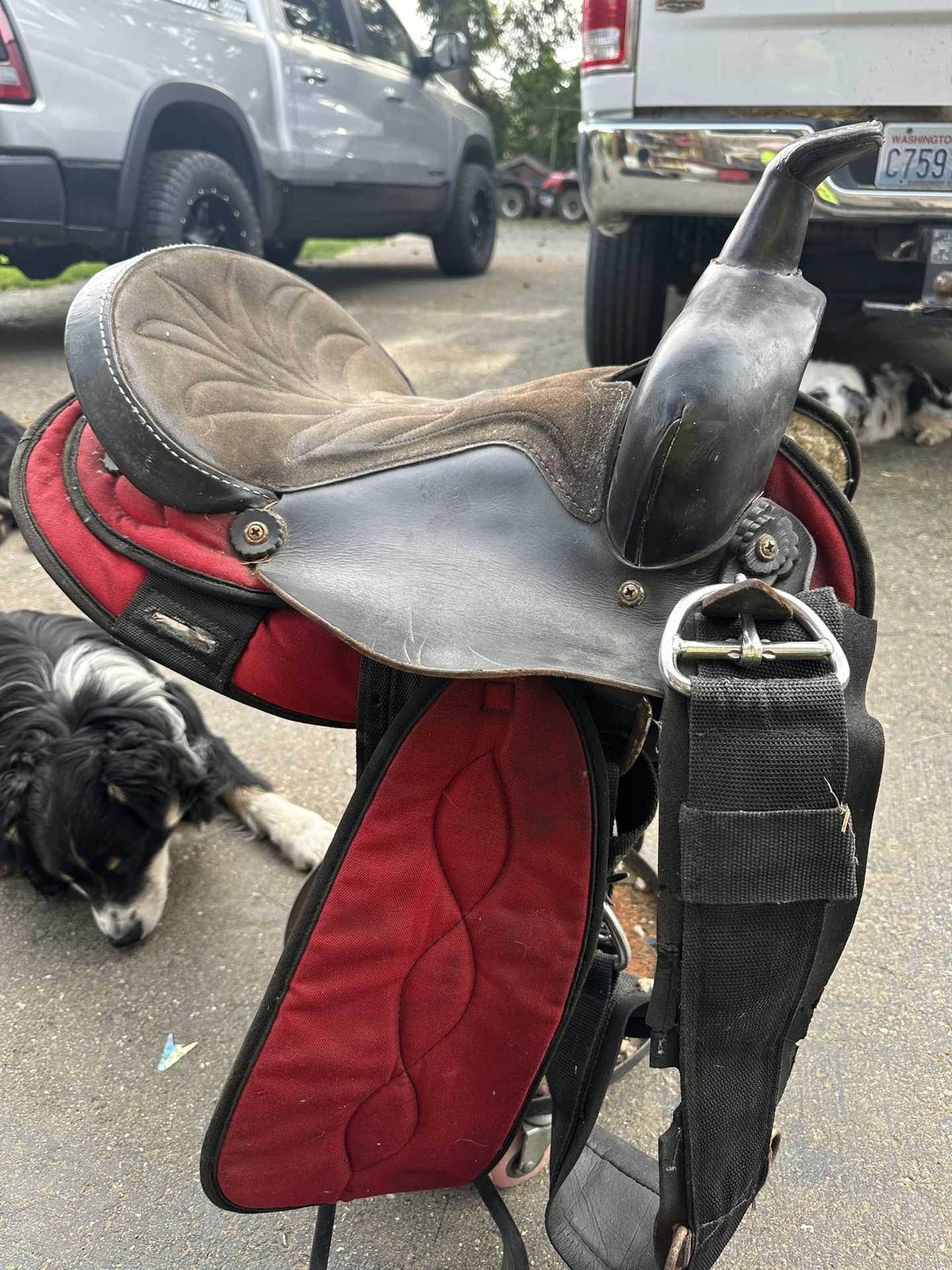 Western Saddle