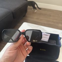Gucci Sunglasses 