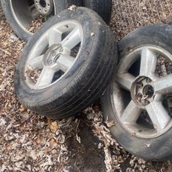 Willl Clean If Someone Wants Them