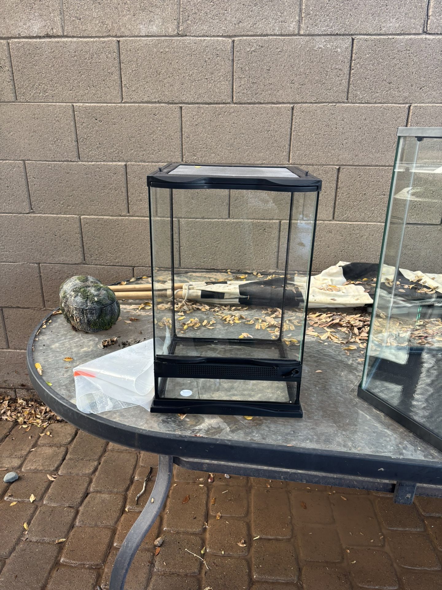 Small Glass terrarium