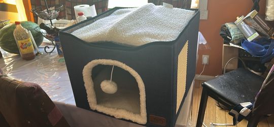 Cat House