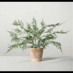 18.5" x 22" Faux Fern Potted Plant - Hearth & Hand' with Magnolia
