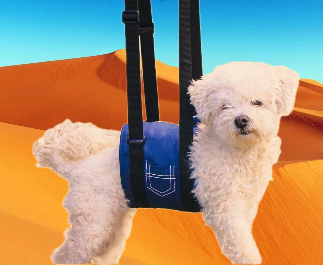 Support Sling Dog Harness for Full Body Support | Prevents Injuries | Helps with Post-Surgical Rehabilitation | Height Adjustable Handles