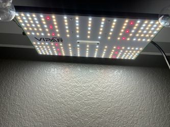 Grow light