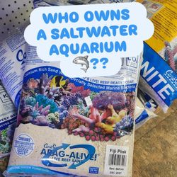 Saltwater Fish