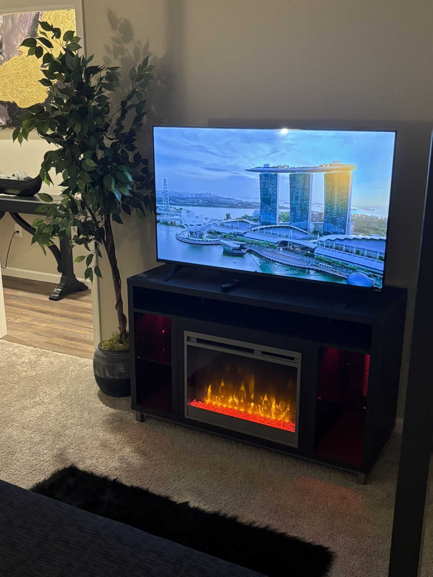 TV Stand/Fire Place
