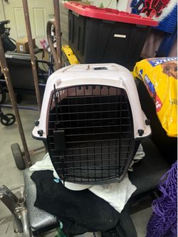 Pink dog kennel