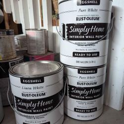 (3) Gallons Of white Paint. BRAND NEW!