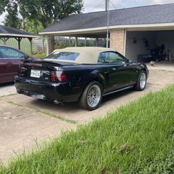 2000 Ford Mustang