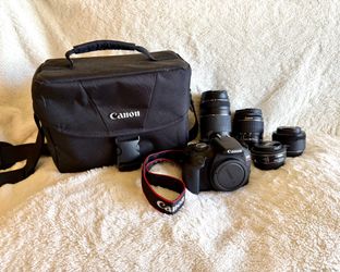 Canon Rebel T7 Kit
