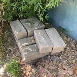 Free Cinder Blocks