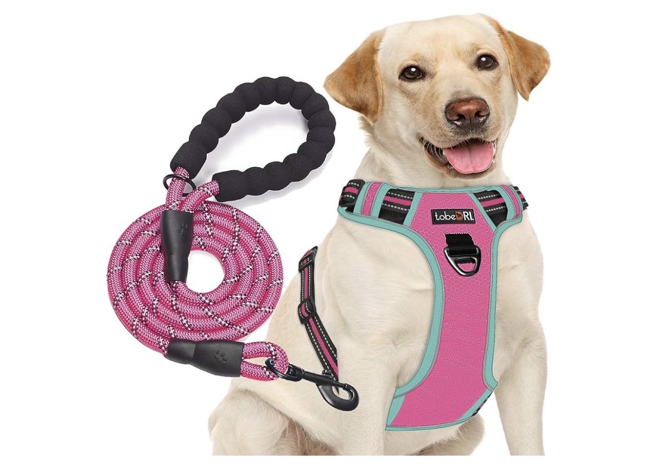 Dog Harness With Leash