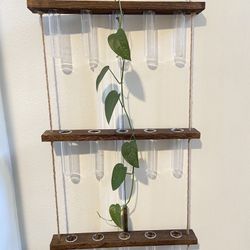 Like New Plant Cutting Propagation Hanging Tubes 