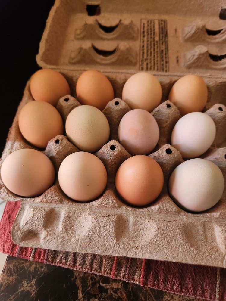 Organic Eggs