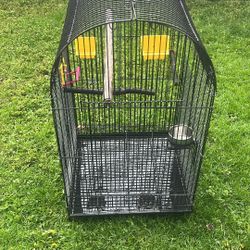 Bird Cage