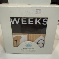 Baby Milestone Blocks 
