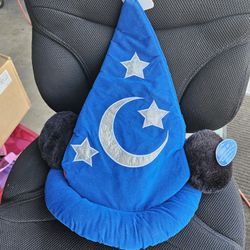 Mikey Wizard Hat From Disneyland