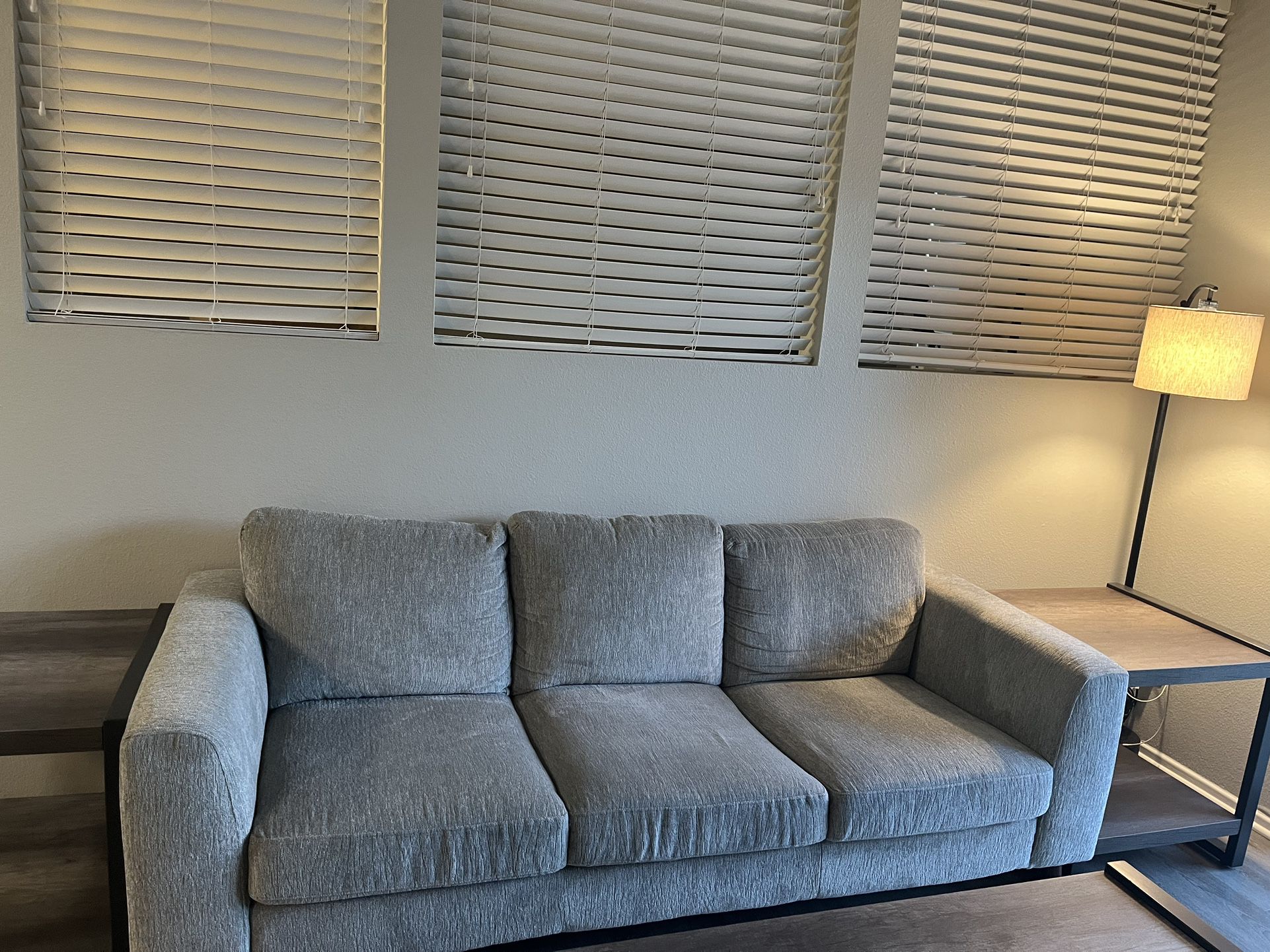 Gray Sofa Couch (Dunbar)