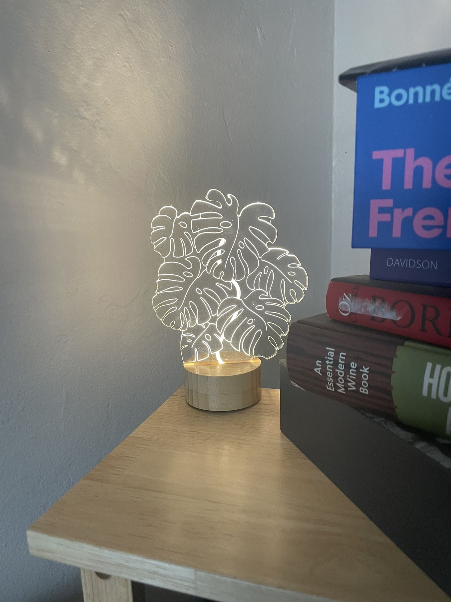 Monstera Delicosa Plant Lamp