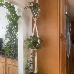 Hanging Macrame 
