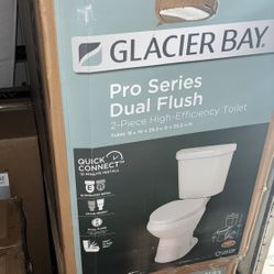 (Qty:100) Glacier Bay Toilets