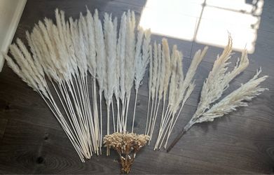 57 White Dried Pampas Bunny Fur Grass Bundle Assortment