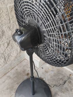 Fan
