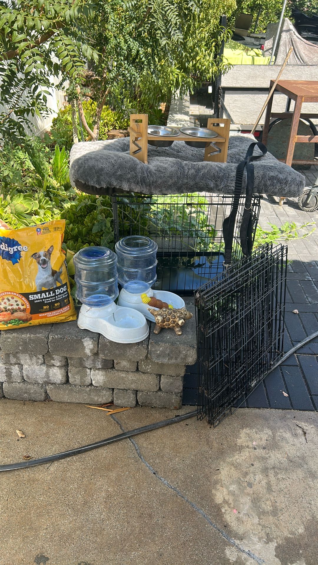 Dog Stuff