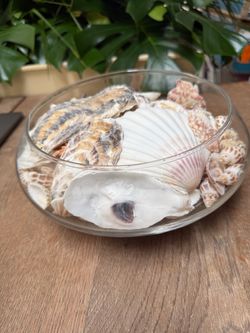 Glass Bowls with Seashells