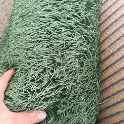 Artificial grass $100 each