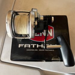 Penn Fathom 25
