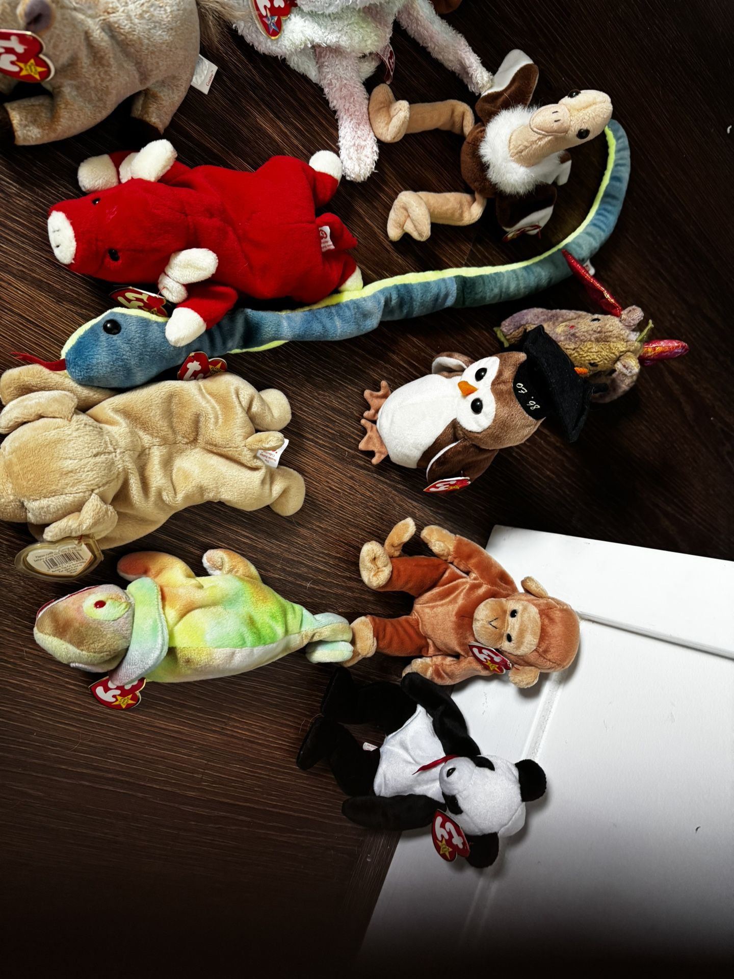 BEANIE BABY COLLECTION
