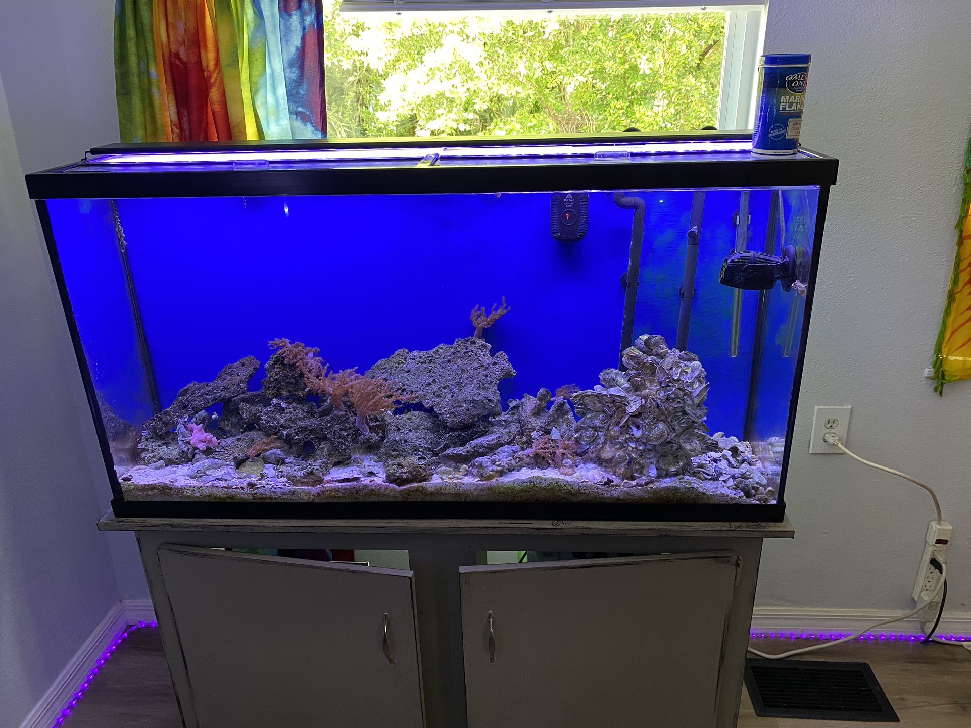 55 Gallon Reef Tank And Stand With Led Light