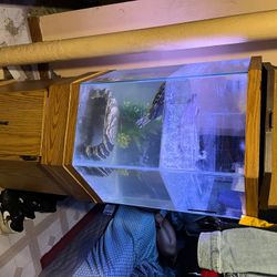 45 Gallon Fish Tank