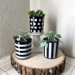 Votive 3pc Set Candle Holder