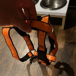Dog harness
