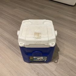 Small igloo cooler 