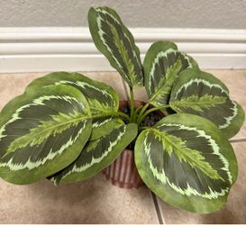 Artificial plants